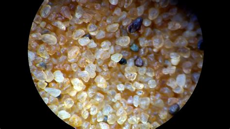 SAND UNDER THE MICROSCOPE, 4K - YouTube