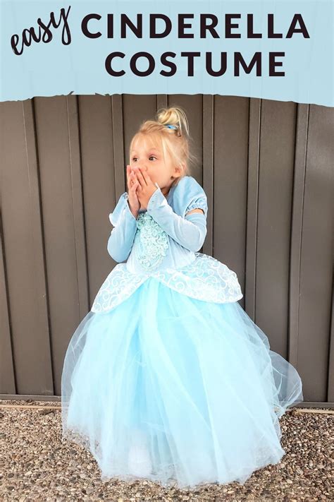 Diy Adult Cinderella Costume