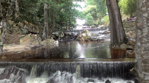 Free stock photo of picnic, waterfall