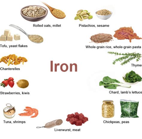 Iron Rich Foods | Everything About Iron - Medicaregate