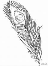 25 Free Peacock Coloring Pages For Kids And Adults sketch template
