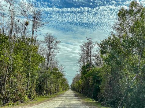 The History of Everglades City - ETB Travel Photography