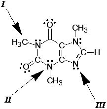 Section 2 - Caffeine