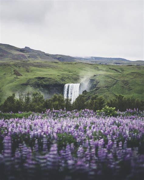 FIVE THINGS TO DO IN ICELAND IN SUMMER - Hidden Iceland