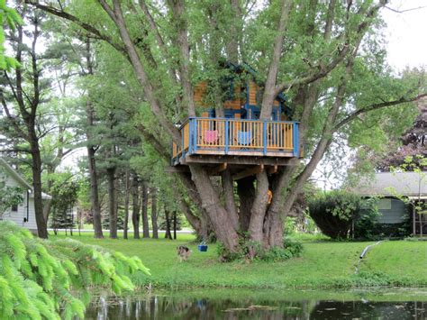 How to Build a Treehouse | HGTV