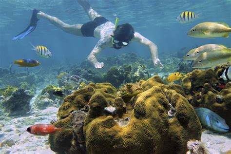 Snorkeling in Costa Rica. spots, tips and prices for 2023