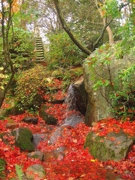 The japanese garden at Washington Park Arboretum... - It's a beautiful ...