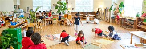 Montessori vs Traditional Education | What's the Difference? | INFOGRAPHIC