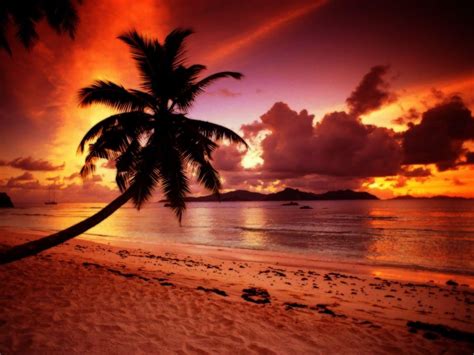 Paradise Sunset Wallpapers - Top Free Paradise Sunset Backgrounds - WallpaperAccess