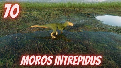 Random Dinosaur Facts in Under a Minute Ep 70: Moros Intrepidus - YouTube