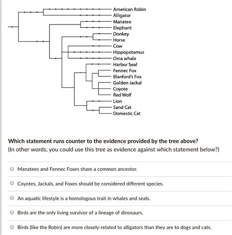 SOLVED: American Robin Alligator Manatee Elephant Donkey Horse Cow ...