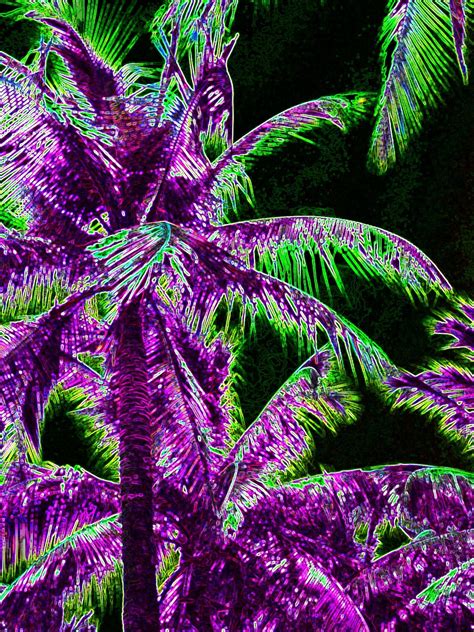 Neon Palm Trees Neon Palm Tree, Palm Trees, Palm Tree Pictures, Print Patterns, Island, Palms ...