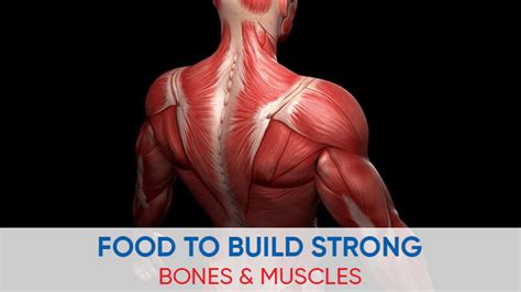 10 Foods That Make Your Bones Strong | BioFlex Pakistan