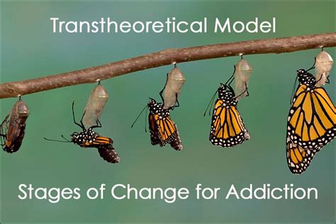 Transtheoretical Model Stages of Change for Addiction