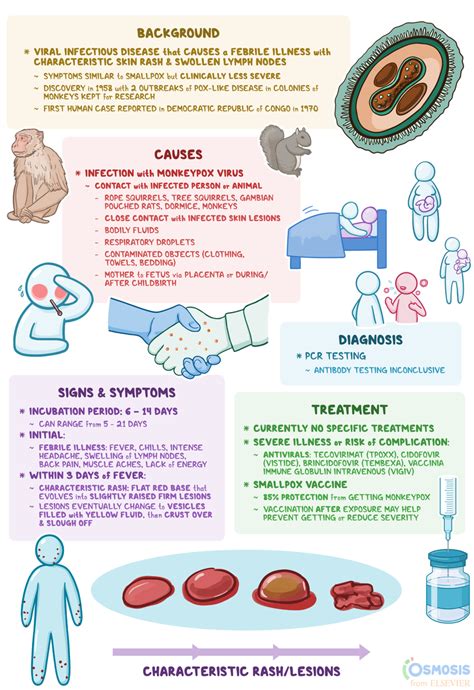 Monkeypox: What Is It, Causes, and More