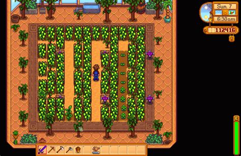 Stardew Valley Теплица - COLLECTION-DESIGN.RU