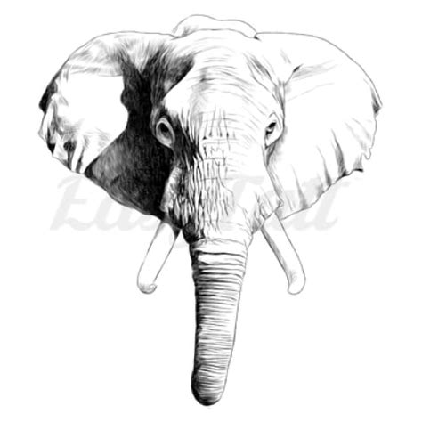 African Elephant Head Temporary Tattoo | EasyTatt™