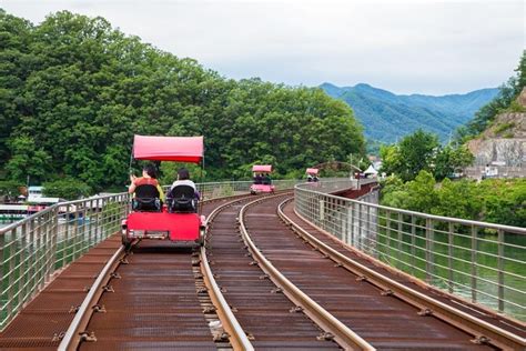 Alpaca World and Nami Island with Gangchon Rail Bike Tour 2023 - Seoul