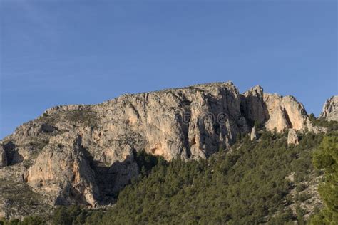 Rocky Mountain with Pine Trees. Blue Sky Stock Photo - Image of wild ...