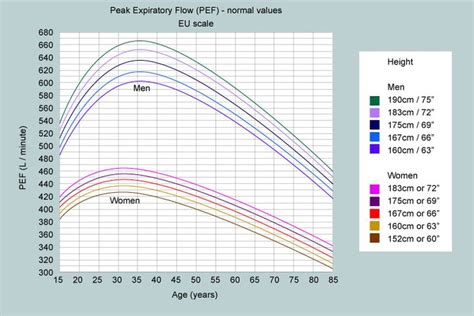 What is a normal peak flow? | Flow chart, Peak expiratory flow, Flow