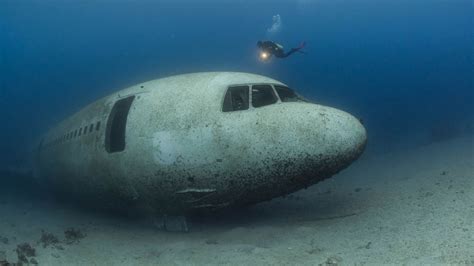 Lockheed Martin L1011 Tristar: Eerie abandoned passenger plane sits on ...