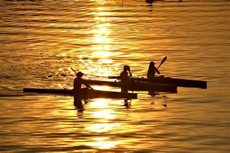 Free picture: canoe, enjoyment, golden glow, recreation, silhouette ...