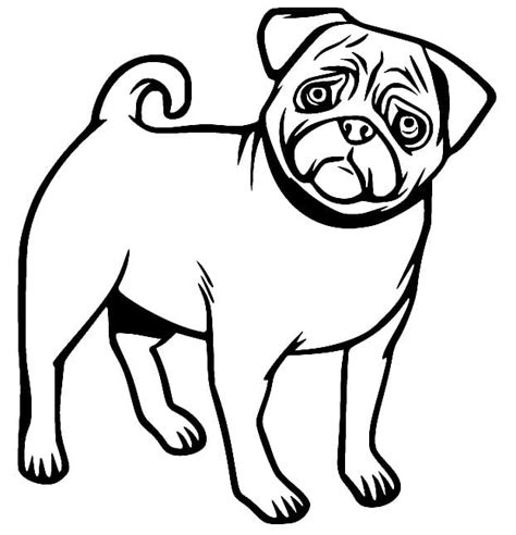 Dibujos de Perro Pug para Colorear para Colorear, Pintar e Imprimir ...