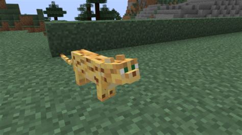 Minecraft Ocelot - Best Free Minecraft Wiki and Trivia