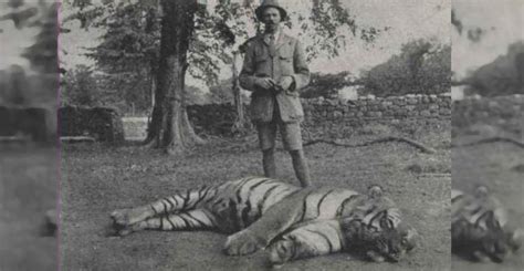 The Champawat Tiger Killed Over 400 People – Until She Met A British ...