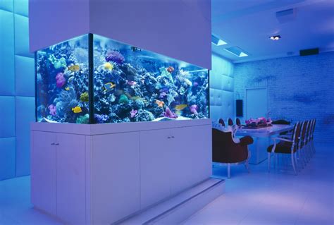 Amazing Built-In Aquariums in Interior Design