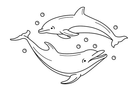 Premium Vector | Hand drawn dolphin outline illustration