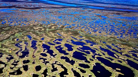 The quest to protect Hudson Bay’s unique coastline, one of Canada’s last, best wild places - The ...