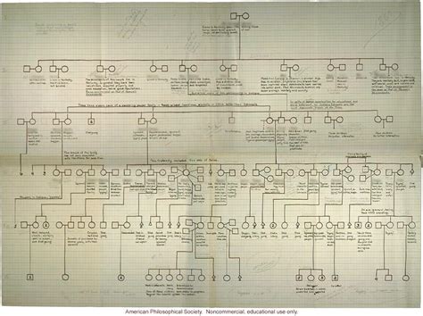 Pedigree of the tribe of Ishmael :: CSHL DNA Learning Center