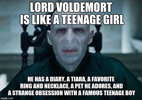 Harry Potter Lord Voldemort is one of the most powerful and appall ...