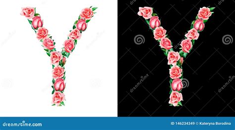 Watercolor Floral Alphabet of Roses, Monogram, Title Letter Y Isolated on Black and White ...