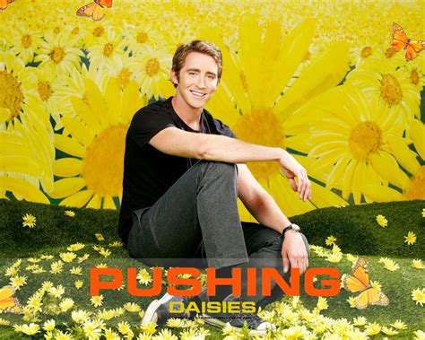 Pushing Daisies - Pushing Daisies Wallpaper (2960752) - Fanpop