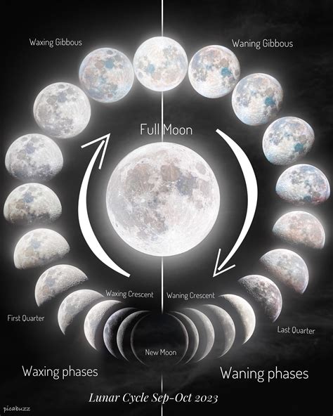 Lunar Artistry: Unveiling the Phases of the Moon through Drawing ...