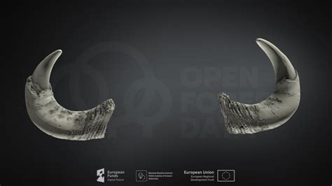 European bison horns - Download Free 3D model by Mammal Research Institute PAS, Poland ...