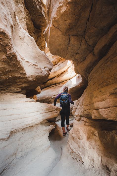 Best Short Hikes in Anza-Borrego Desert State Park