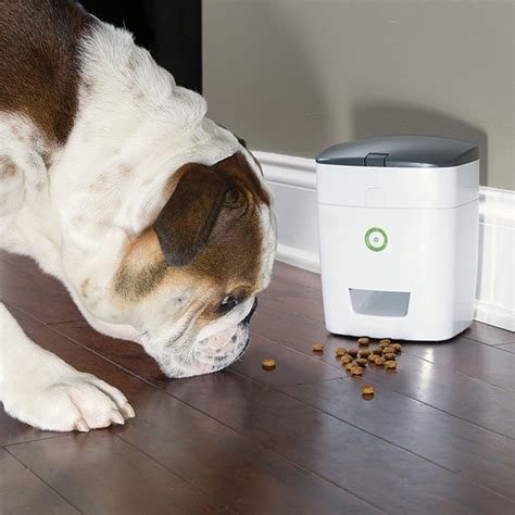 Remote Dog Treat Dispenser » Petagadget