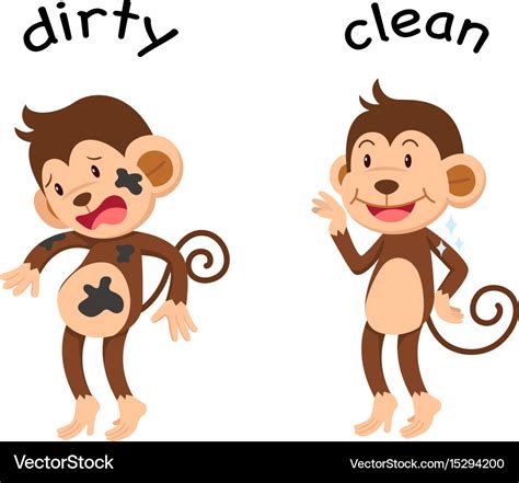 Opposite words dirty and clean Royalty Free Vector Image