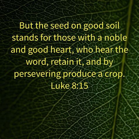 Luke 8:15, New International Version (NIV) | Good heart, Bible apps, Words