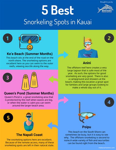 5 Best Snorkeling Spots in Kauai - InfographicBee.com