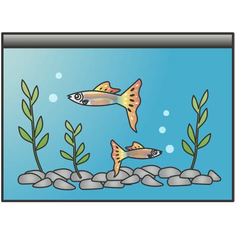 Fish Tank Svg - 1770+ Best Free SVG File - Free SVG Cut Files To Download