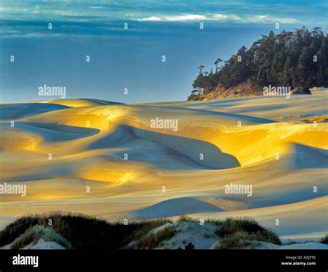 Sandunes at sunset Oregon Dunes National Recreational Area Stock Photo - Alamy