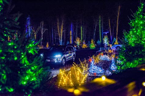 Gardens Aglow | Coastal Maine Botanical Gardens