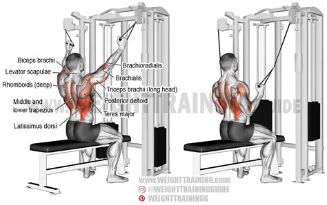 Double cable neutral-grip lat pull-down exercise instructions and video