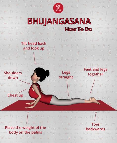 Bhujangasana Steps