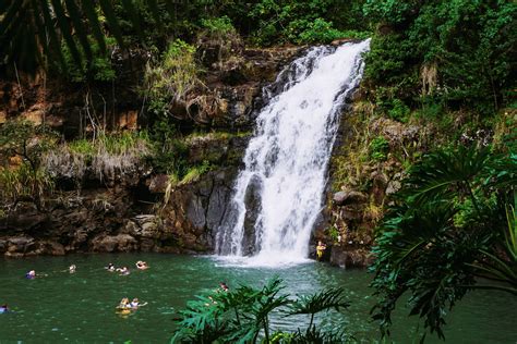 Waimea Valley & Waterfall - LAURALOHA TRAVEL