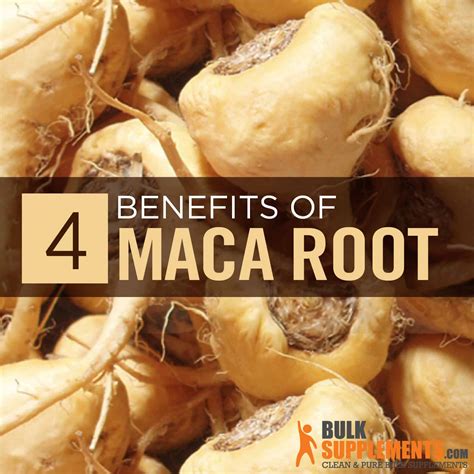 Maca Root Extract: Benefits, Side Effects & Dosage